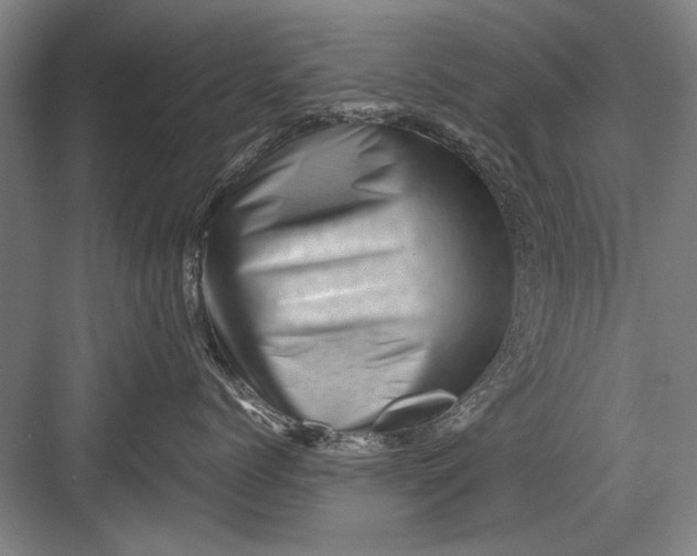 X0000082950768200702152240