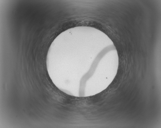 X0000082950769200702152239