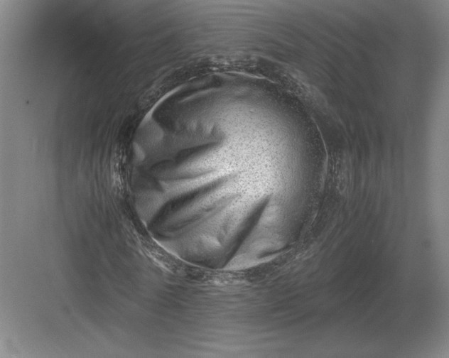 X0000082950770200702152239