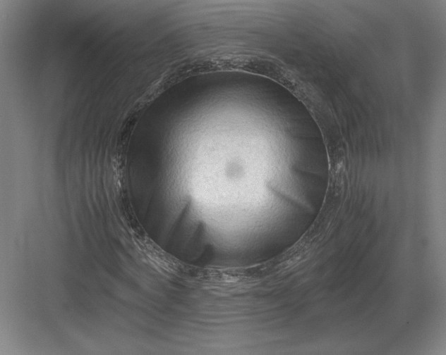 X0000082950772200702152239