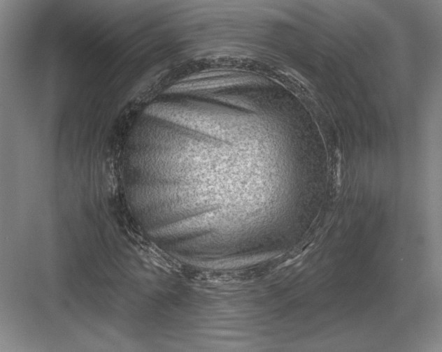 X0000082950774200702152239