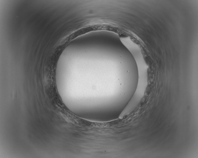 X0000082950775200702152239