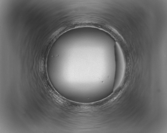 X0000082950777200702152239