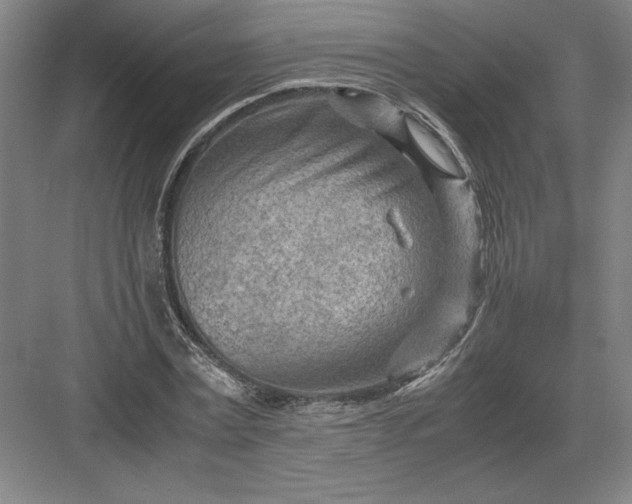 X0000082950779200702152239