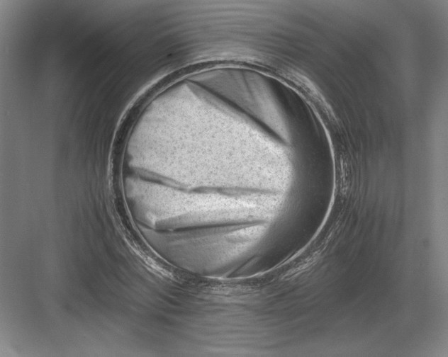 X0000082950780200702152239