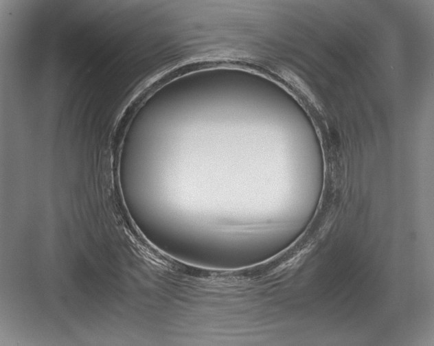 X0000082950781200702152239