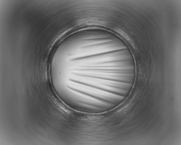 X0000082950782200702152239