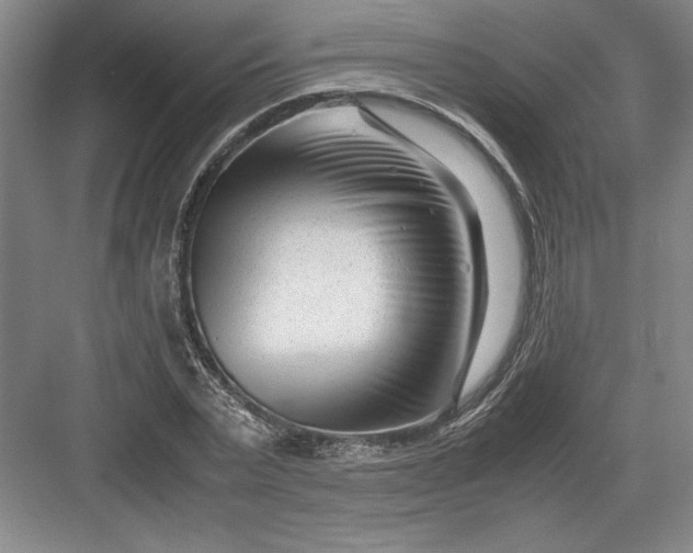 X0000082950783200702152239