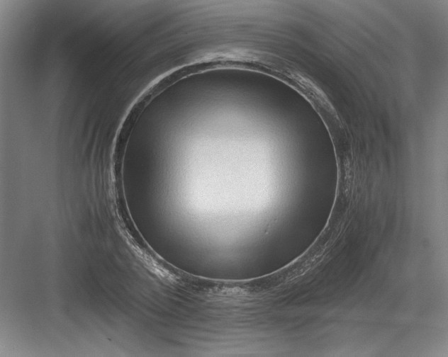 X0000082950784200702152239