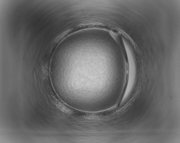 X0000082950785200702152239