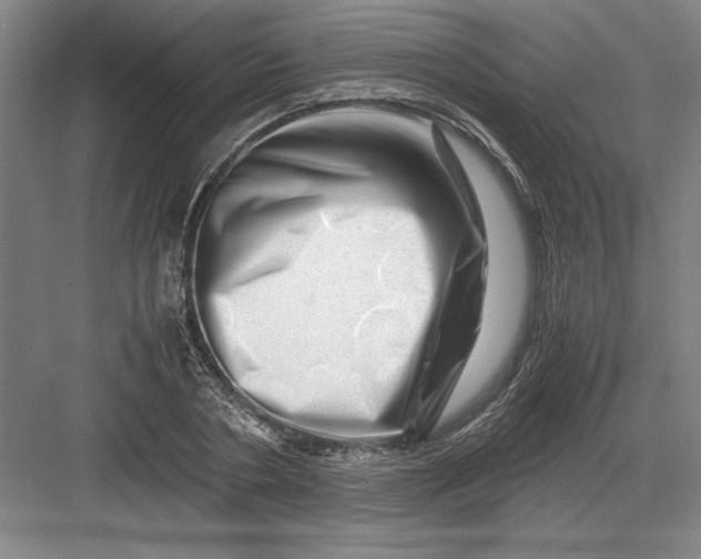 X0000082950786200702152239