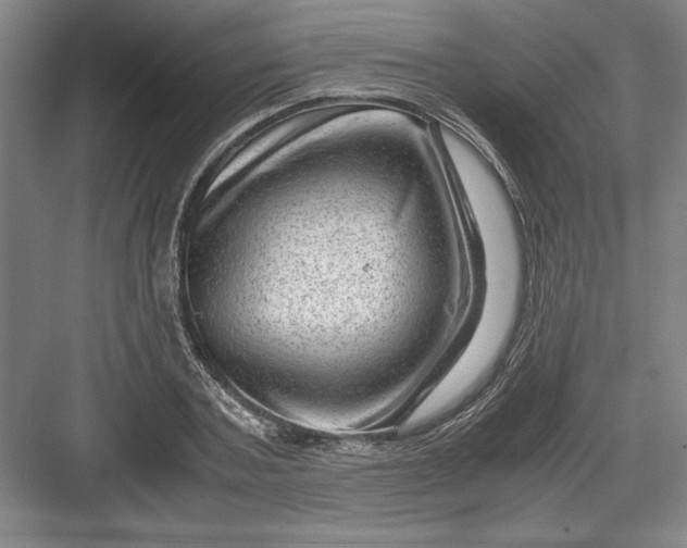 X0000082950787200702152239