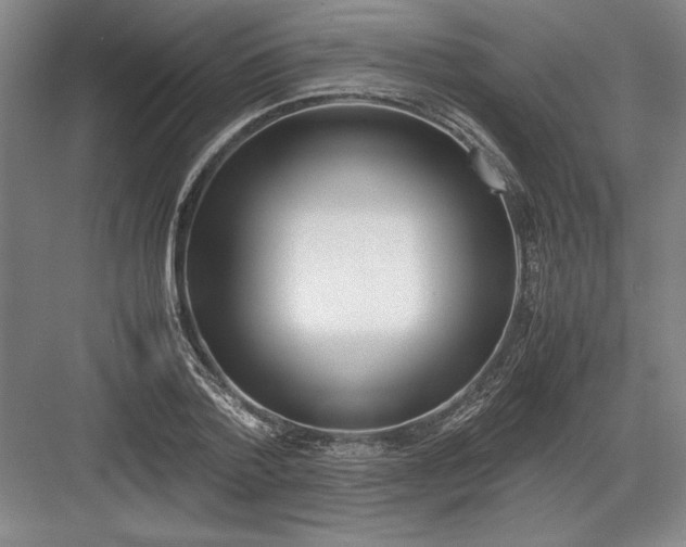 X0000082950788200702152239