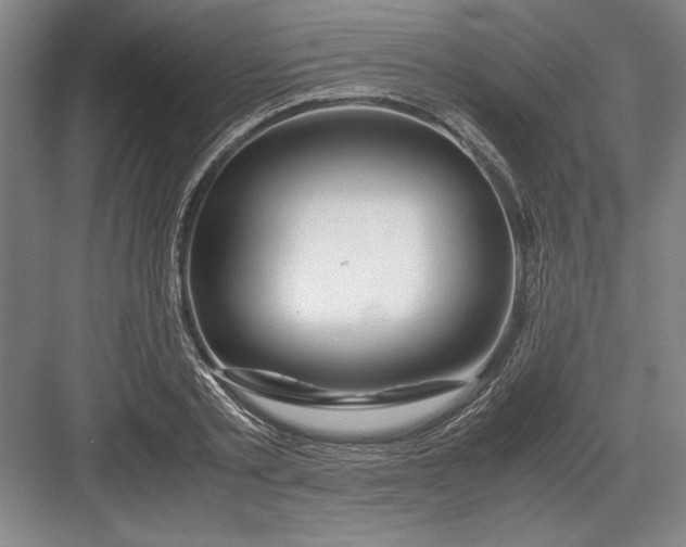 X0000082950789200702152239