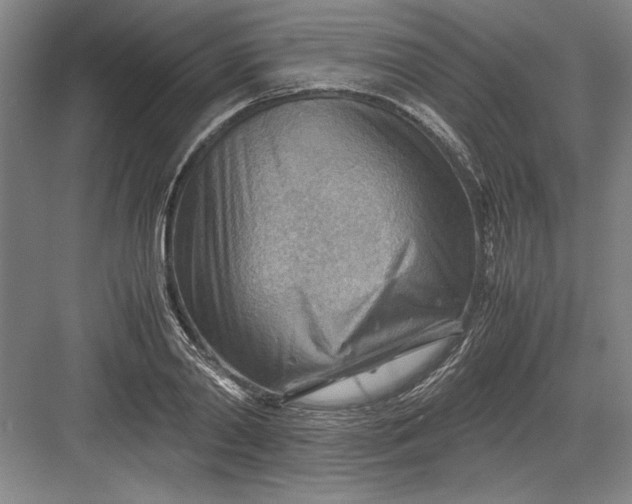 X0000082950790200702152239