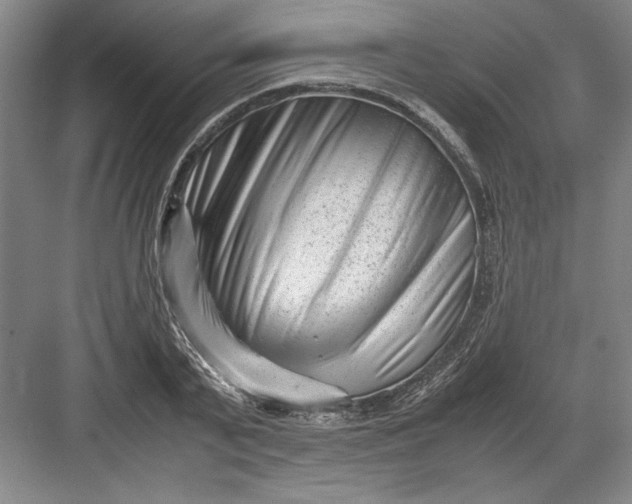 X0000082950791200702152239