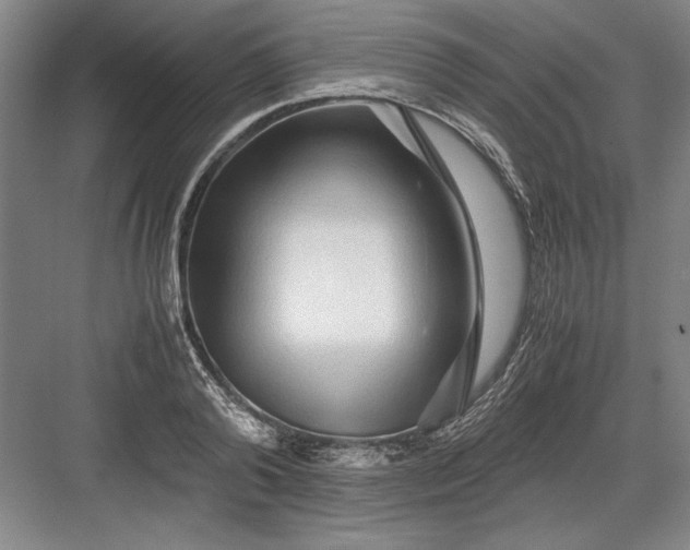 X0000082950792200702152238