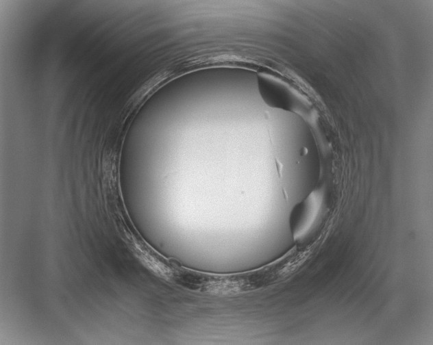 X0000082950793200702152238