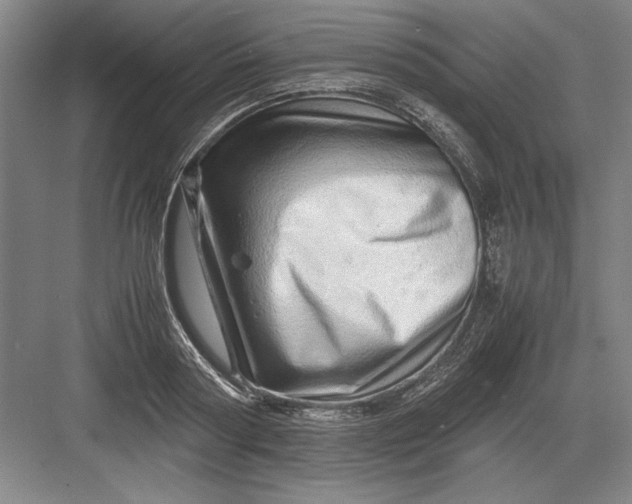 X0000082950794200702152238