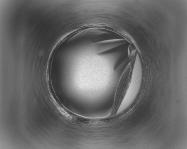 X0000082950795200702152238