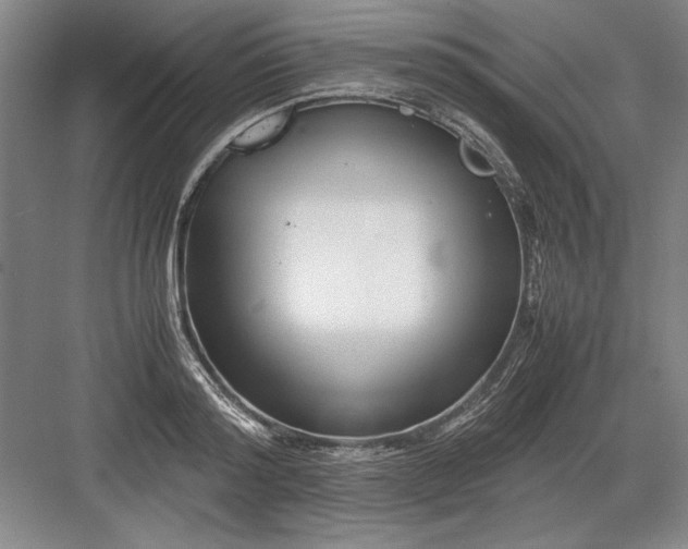 X0000082950796200702152238