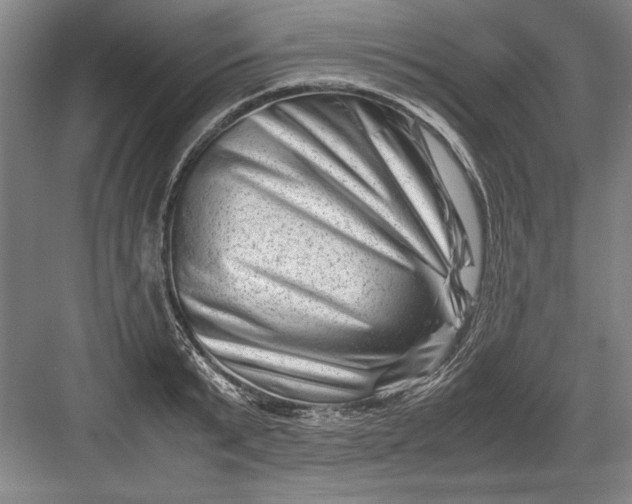 X0000082950799200702152238