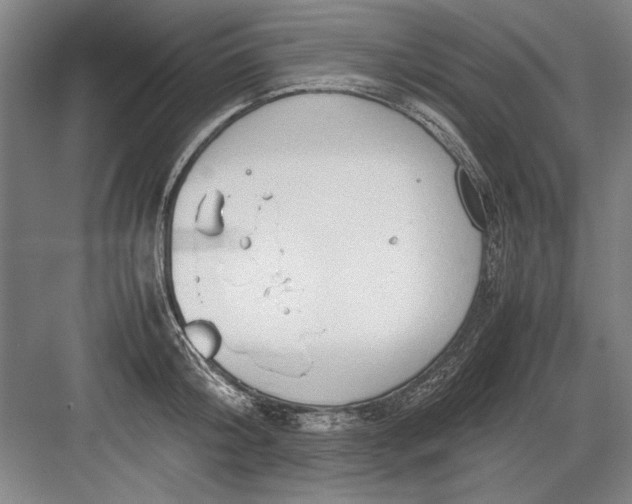 X0000082950804200702152238