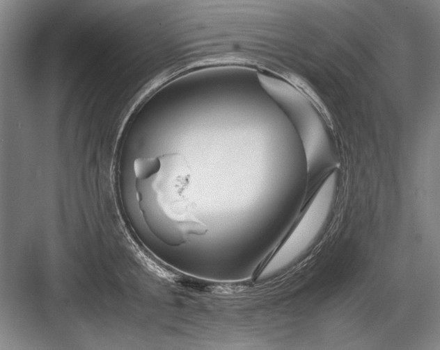 X0000082950805200702152238