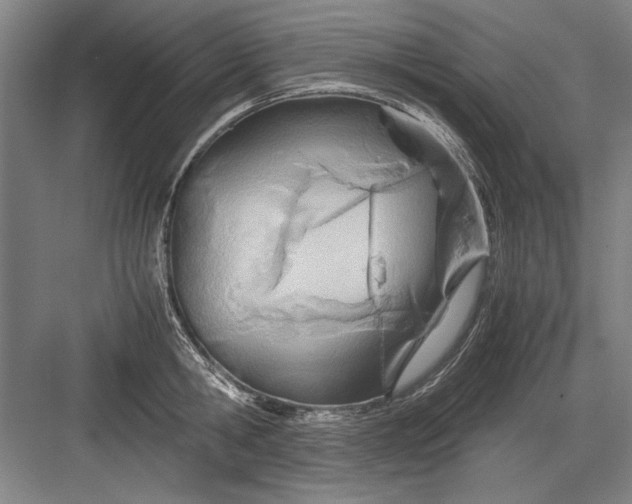 X0000082950806200702152238