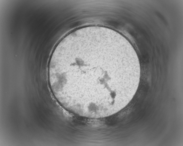 X0000082950807200702152238