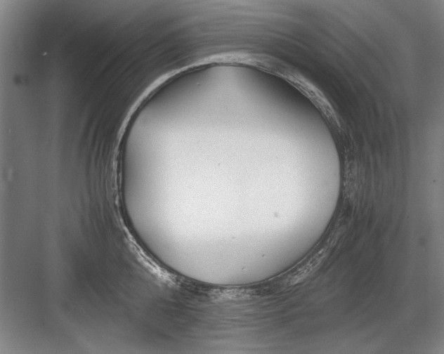 X0000082950808200702152238