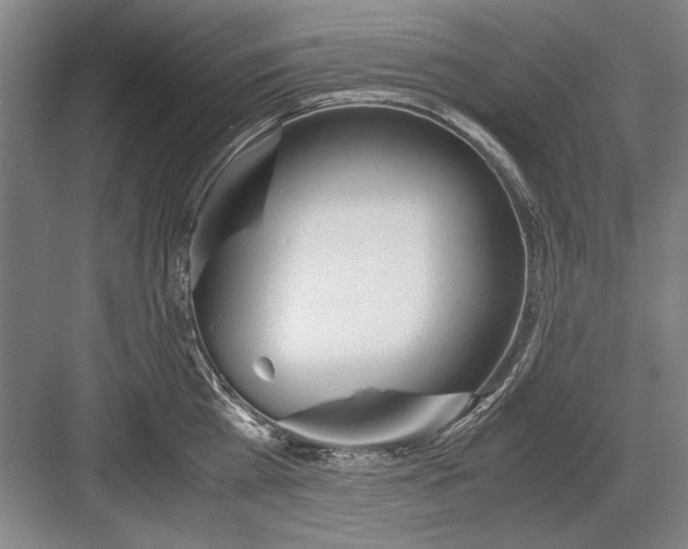 X0000082950809200702152238