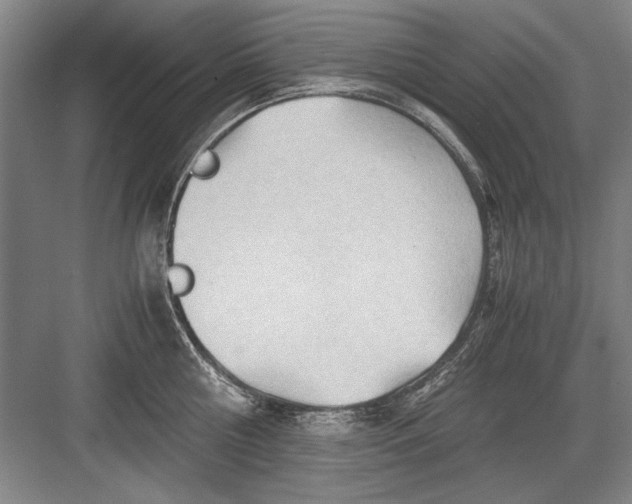 X0000082950810200702152238