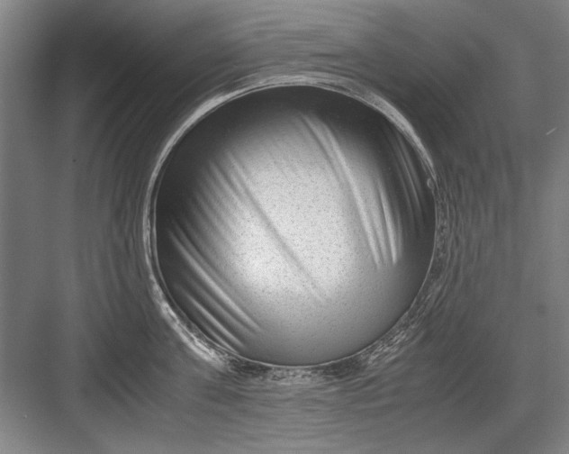 X0000082950811200702152238