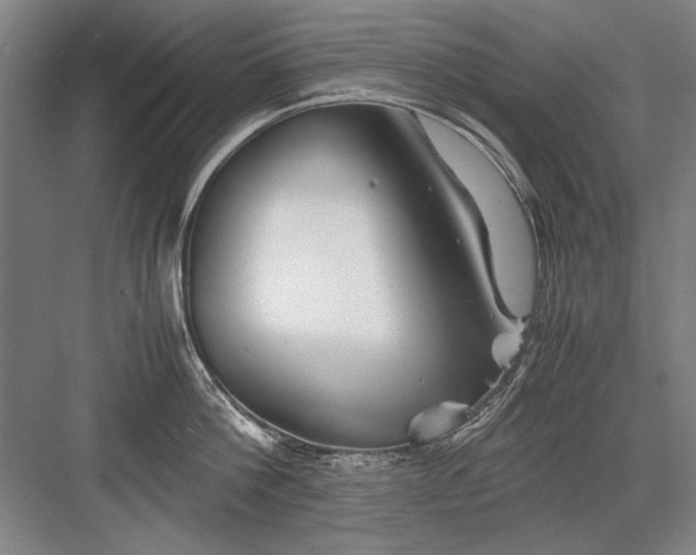 X0000082950812200702152238