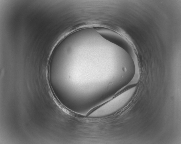 X0000082950813200702152238