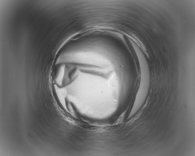 X0000082950814200702152238