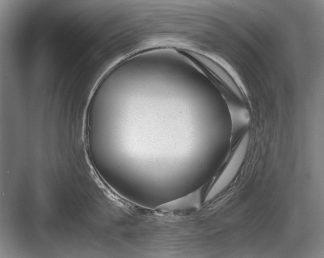 X0000082950815200702152238