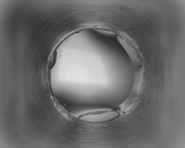 X0000082950816200702152238