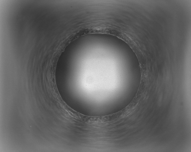 X0000082950817200702152237