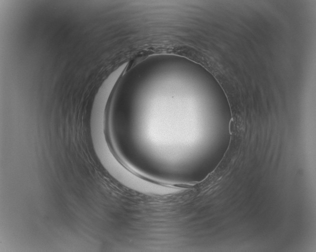 X0000082950818200702152237