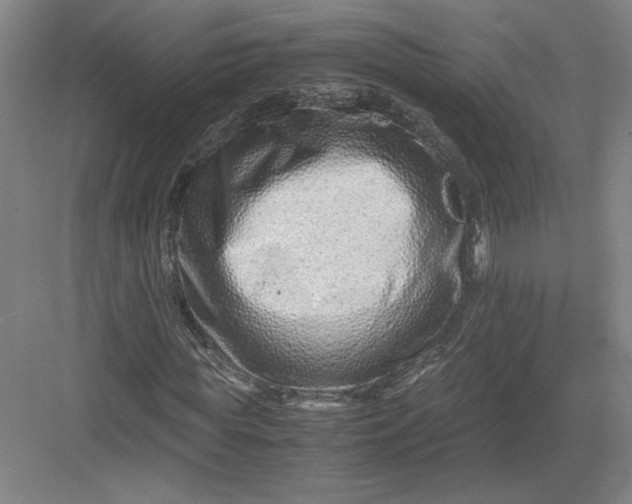 X0000082950819200702152237