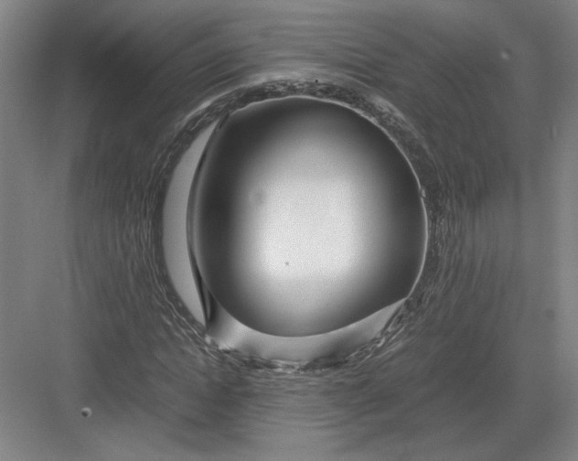 X0000082950822200702152237