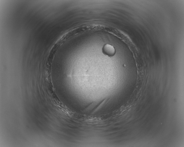 X0000082950823200702152237