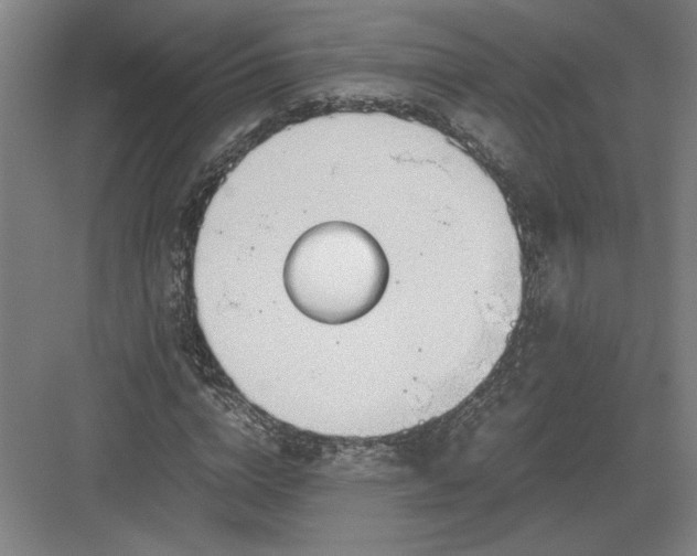 X0000082950824200702152237