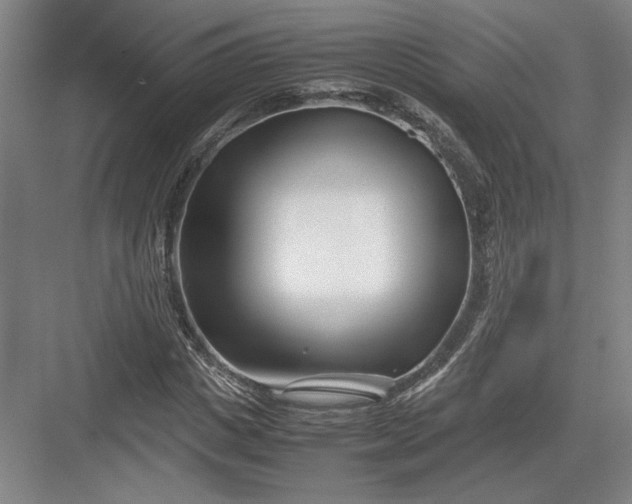 X0000082950825200702152237