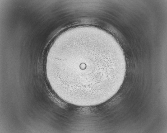 X0000082950828200702152237