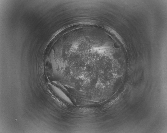 X0000082950829200702152237