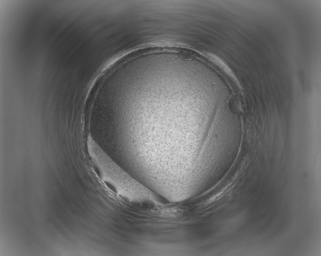 X0000082950831200702152238