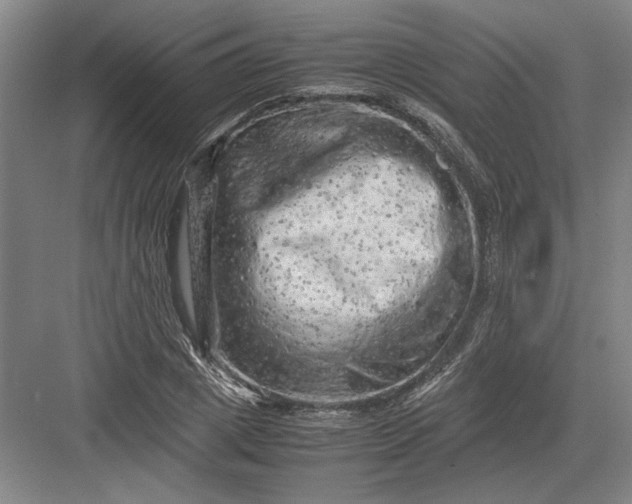 X0000082950833200702152238